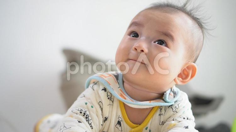見上げる赤ちゃん1 赤ちゃん,子育て,育児の写真素材