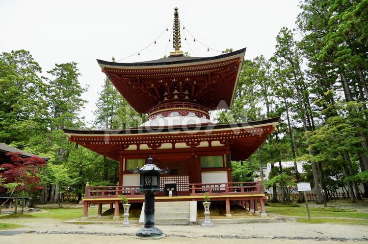 和歌山　高野山金剛峯寺壇上伽藍の東塔 高野山,金剛峯寺,和歌山の写真素材