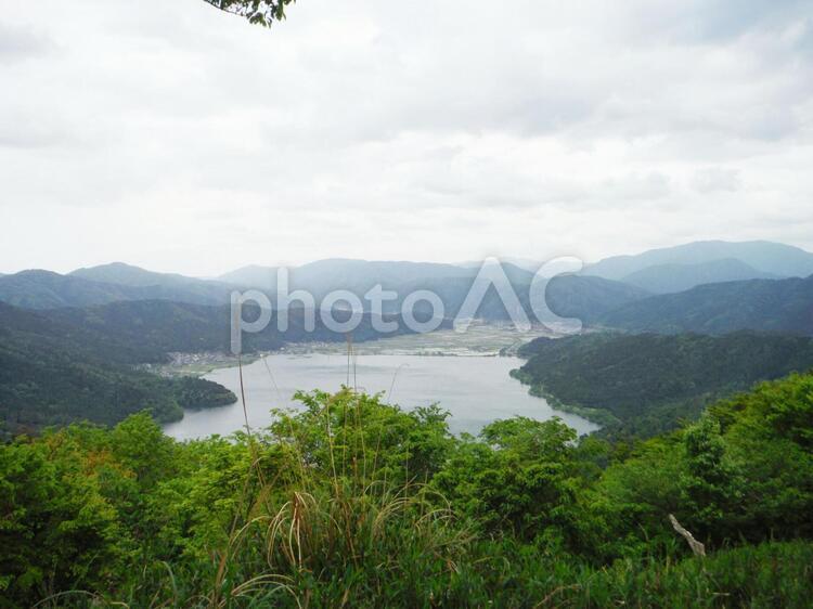 賤ヶ岳山頂から見える余呉湖 木々,新緑,葉っぱの写真素材