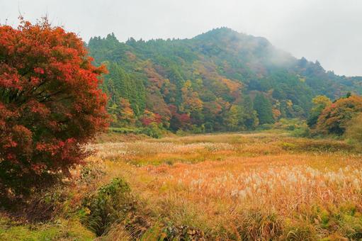 養老渓谷 養老渓谷,紅葉,秋の写真素材