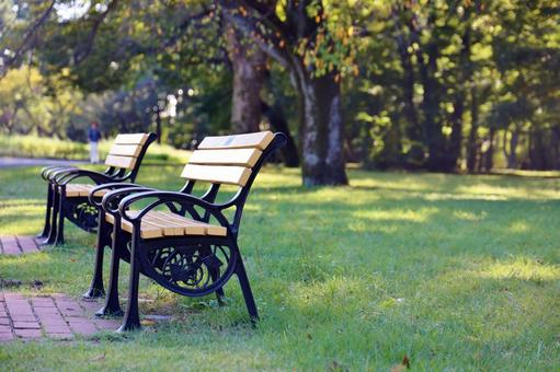 小金井公園のベンチの写真