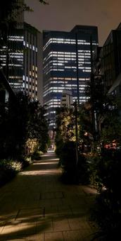 街並み 夜景 赤坂 街並み 夜景 赤坂の写真