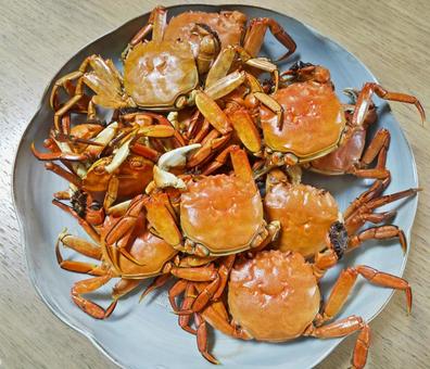 モクズガニ　蒸しあげ モクズガニ,蟹,食べ物の写真素材