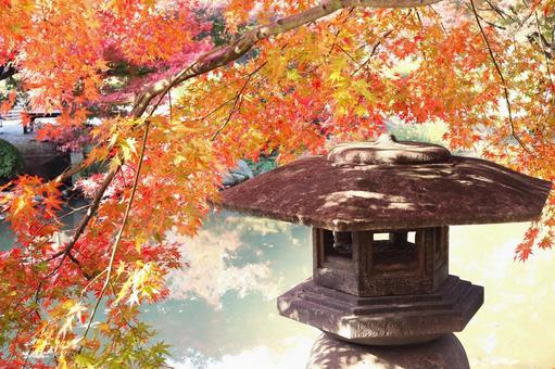 秋のイメージ 紅葉と灯籠と池 秋のイメージ 紅葉と灯籠と池 紅葉,モミジ,秋の写真素材