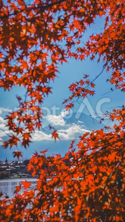 富士山と美しい紅葉と河口湖 紅葉,こうよう,もみじの写真素材