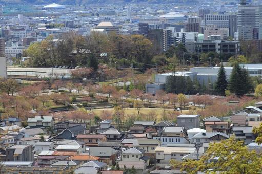 長野市城山 長野市城山 長野市,長野県,長野の写真素材