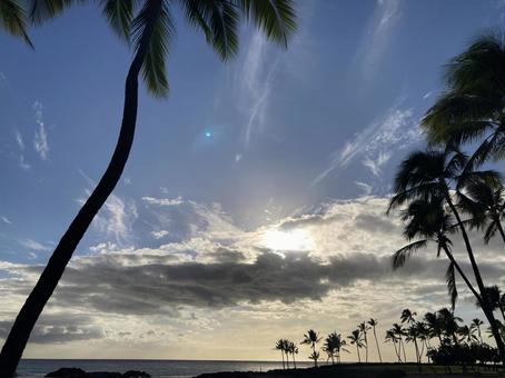 ハワイの水平線Ｂ ハワイ,自然,natureの写真素材