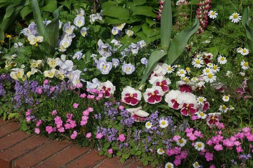 花壇 花壇の写真