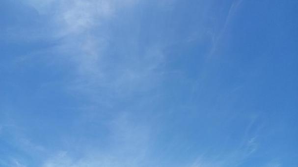 夏の空 夏の空の写真