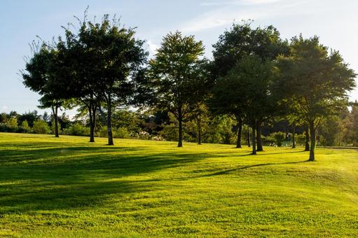 日没前の柔らかな光に包まれた緑豊かな公園 噴火湾パノラマパーク,芝生広場,公園の写真素材
