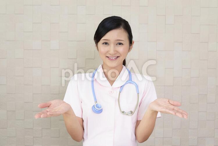 両手を広げて見せる看護師 看護師,看護婦,女性の写真素材