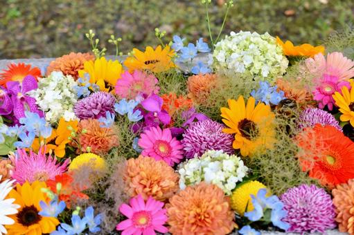 花手水 花手水の写真