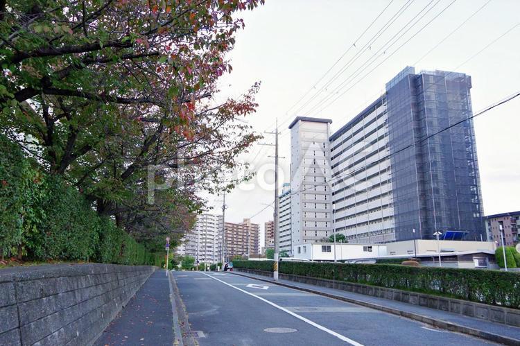 郊外のマンション街の夕景 マンション街,郊外,街角の写真素材