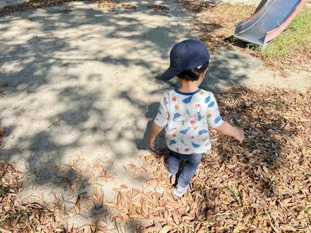 秋の公園と子供 秋の公園と子供 秋,公園,子供の写真素材
