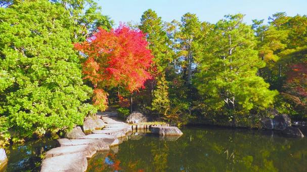 姫路城 好古園14 紅葉,秋,姫路城の写真素材