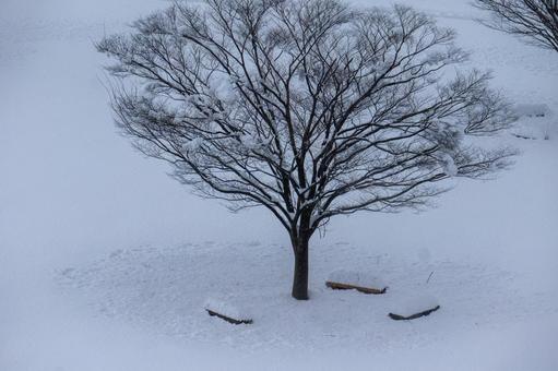 雪の公園 雪の公園の写真