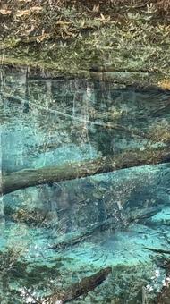 神の子池の写真