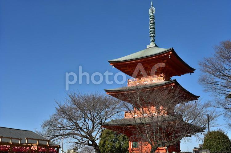 青葉園の三重塔 青葉園,五重塔,三重塔の写真素材