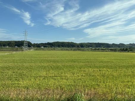 千葉県佐倉市の田園風景の写真