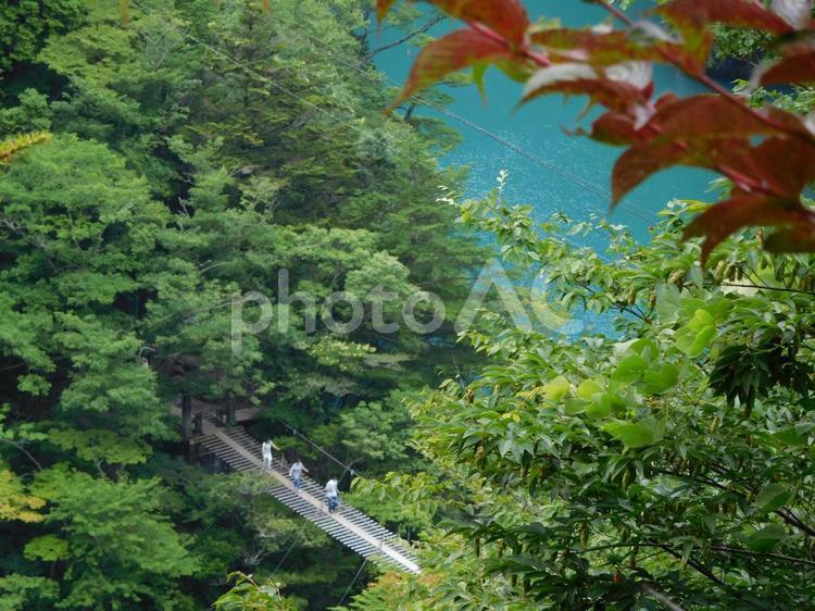 夢のつり橋、寸又峡 夢のつり橋,寸又峡,コバルトブルーの写真素材