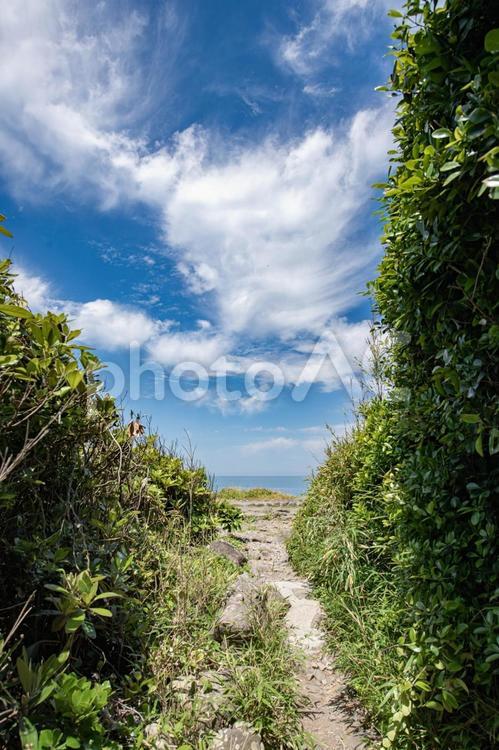 海岸沿いから眺める夏の景色 海,空,縦画像の写真素材