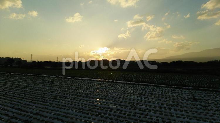 畑の夕暮れ 畑,夕,夕暮れの写真素材