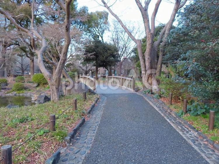 日比谷公園　雲形池の橋 日比谷公園,日比谷,橋の写真素材