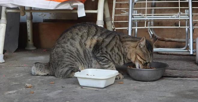 Eating a lot, JPG