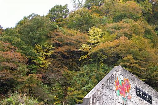 25年　新潟石峠　紅葉 トンネル,石峠,きれいの写真素材