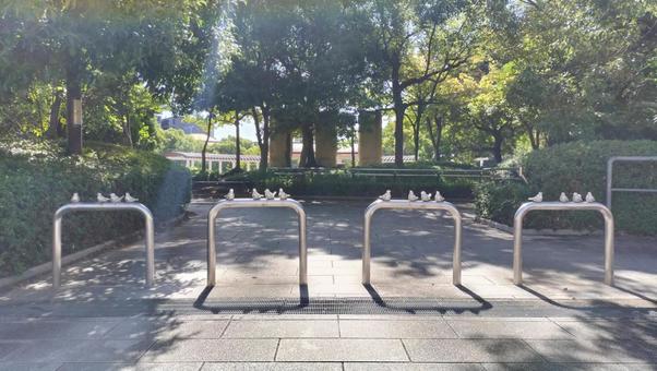 京都 公園 京都 公園の写真