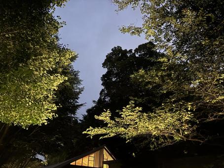 森の中のキャンプ場 森の中のキャンプ場の写真