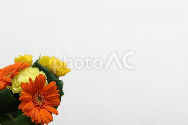 花束と背景（横） きいろ,だいだい,はなの写真素材