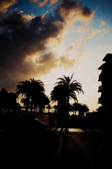 南国の黄昏時 夕陽,夕暮,黄昏の写真素材