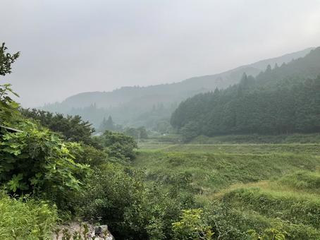 山の霧 山の霧の写真