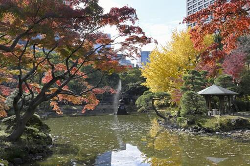 日比谷公園紅葉 秋,紅葉,四季の写真素材