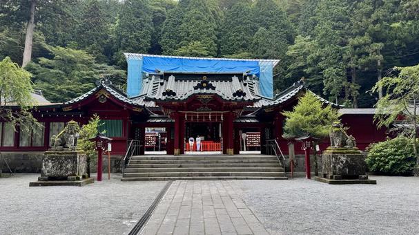 箱根神社本殿 箱根神社本殿の写真