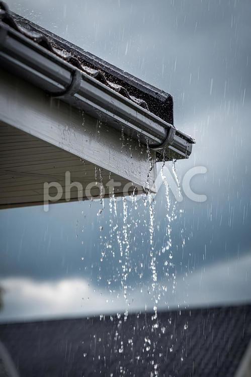 雨樋から流れ落ちる雨 雨,雨樋,屋根の写真素材