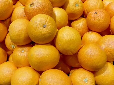 果物・オレンジ オレンジ,柑橘,丸いの写真素材