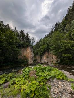 層雲峡・大函の断崖美 層雲峡・大函の断崖美の写真