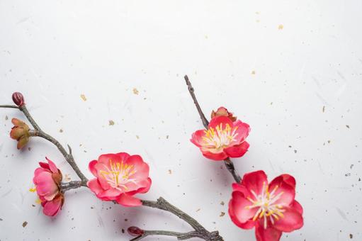 白和紙に咲く紅梅の枝 梅,花,紅梅の写真素材