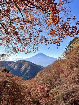 秋色に変わる木々と富士山 秋色に変わる木々と富士山 富士山,紅葉,秋の写真素材
