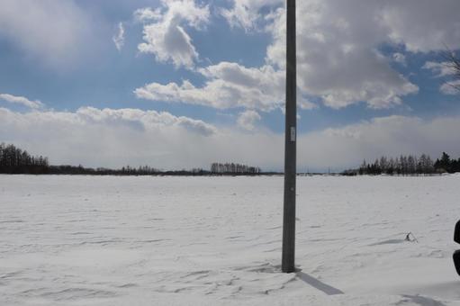 雪原 雪原の写真