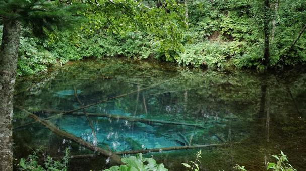 神秘の神の子池 秘境,パワースポット,神の子池の写真素材