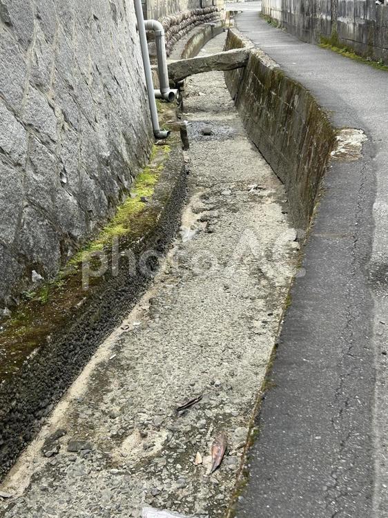 冬の用水路 用水路,水路,灌漑の写真素材