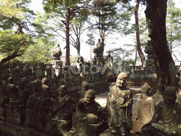 喜多院　五百羅漢 五百羅漢,喜多院,川越市の写真素材