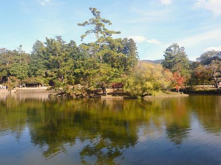 東大寺鏡池風景 風景,池,鏡池の写真素材