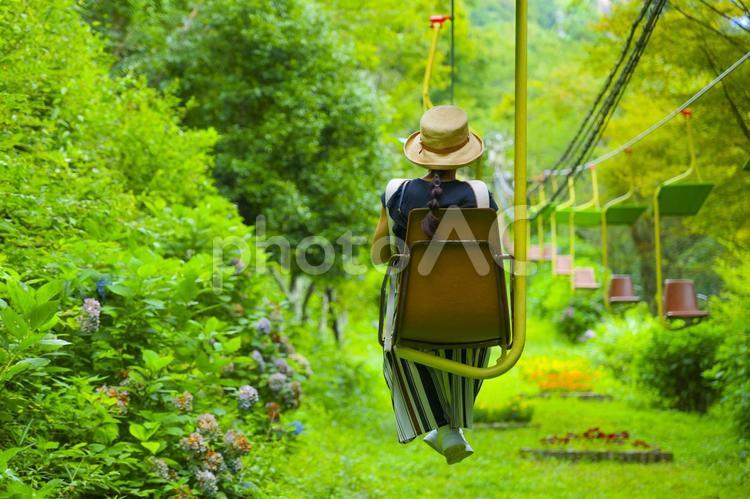 リフトに乗る女性と森林風景 森林,森,リフトの写真素材