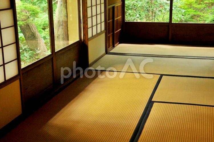 和室/庭園/日本家屋 和室,庭園,日本庭園の写真素材