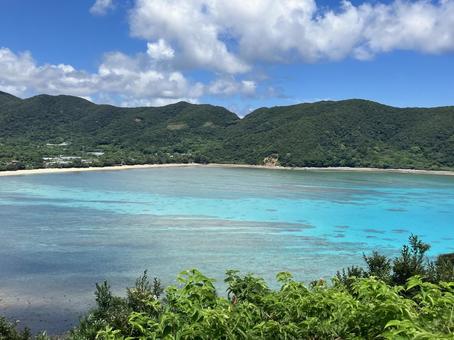 奄美大島の海 奄美大島の海 海,ビーチ,自然の写真素材