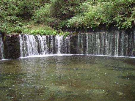 滝 滝の写真
